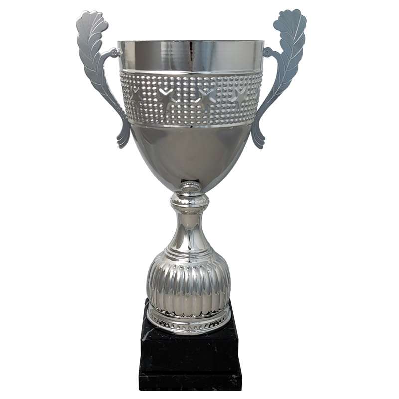THE ATLANTIS CUP