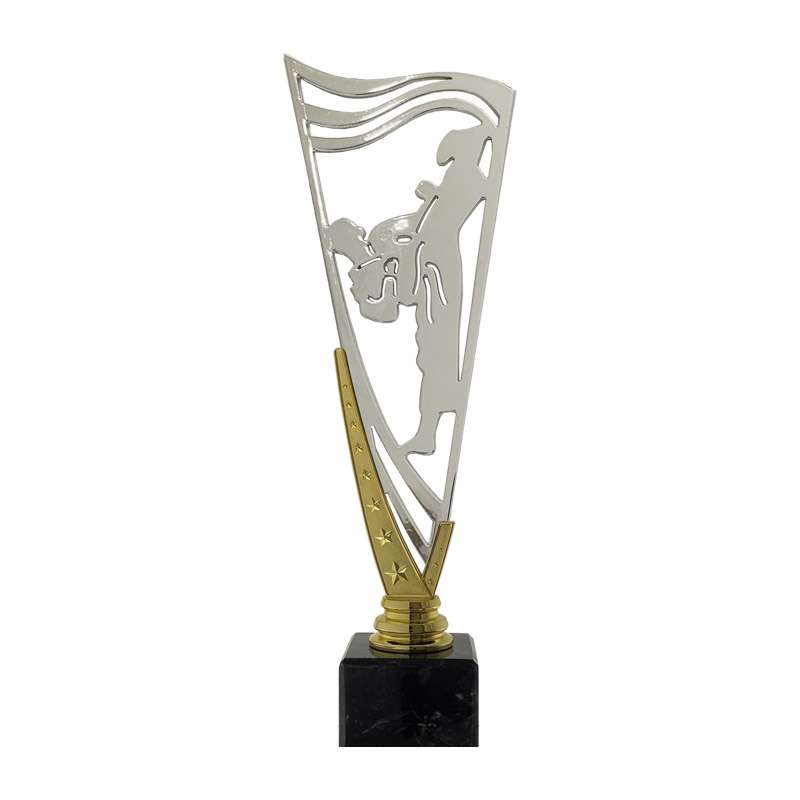 MARTIAL ARTS – V STAR HOLDER – SILVER