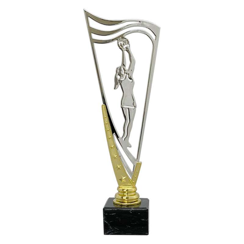 NETBALL – V STAR HOLDER – GOLD