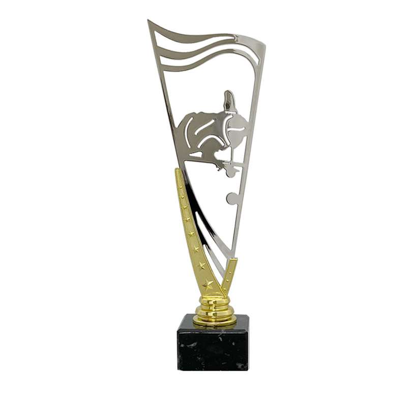 POOL – V STAR HOLDER – GOLD