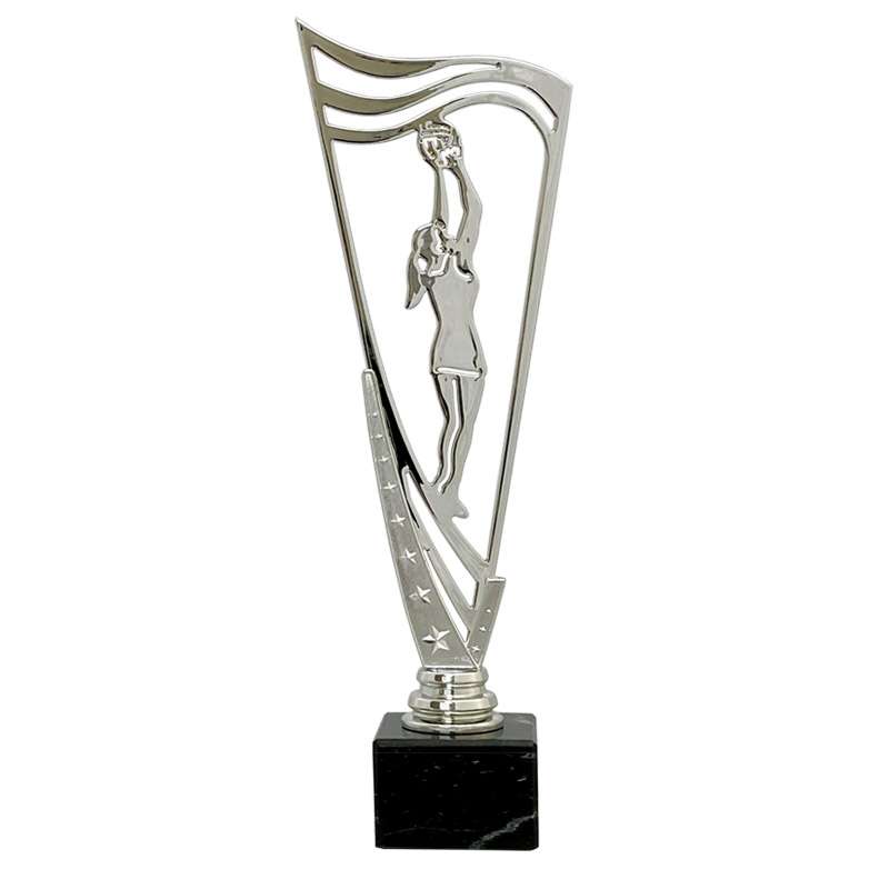 NETBALL – V STAR HOLDER – SILVER
