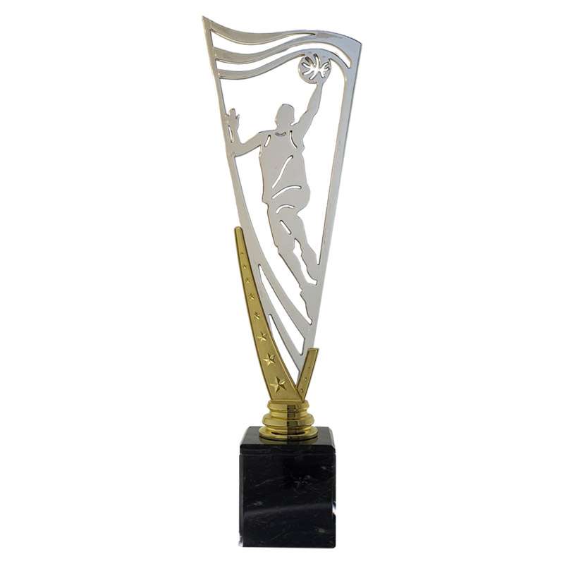 BASKETBALL – V STAR HOLDER – GOLD