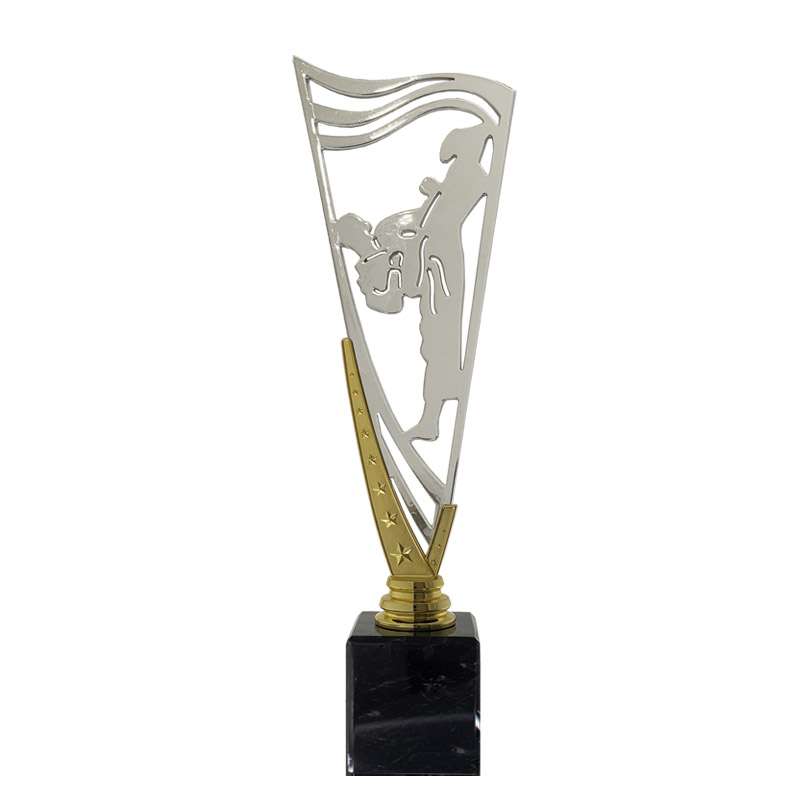 MARTIAL ARTS – V STAR HOLDER – SILVER