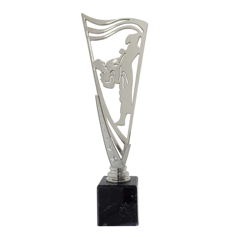 MARTIAL ARTS – V STAR HOLDER – SILVER