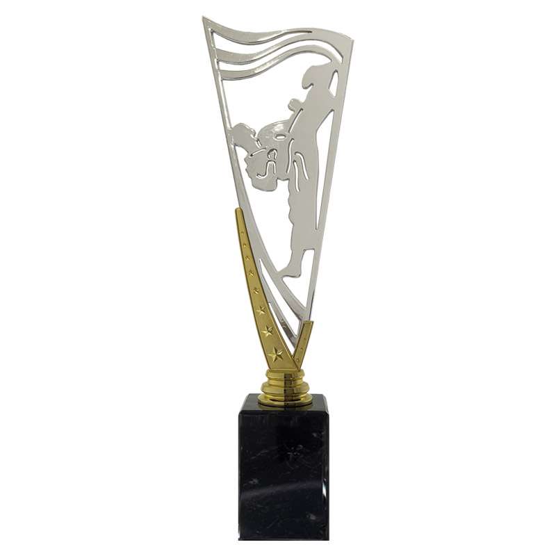 MARTIAL ARTS – V STAR HOLDER – GOLD
