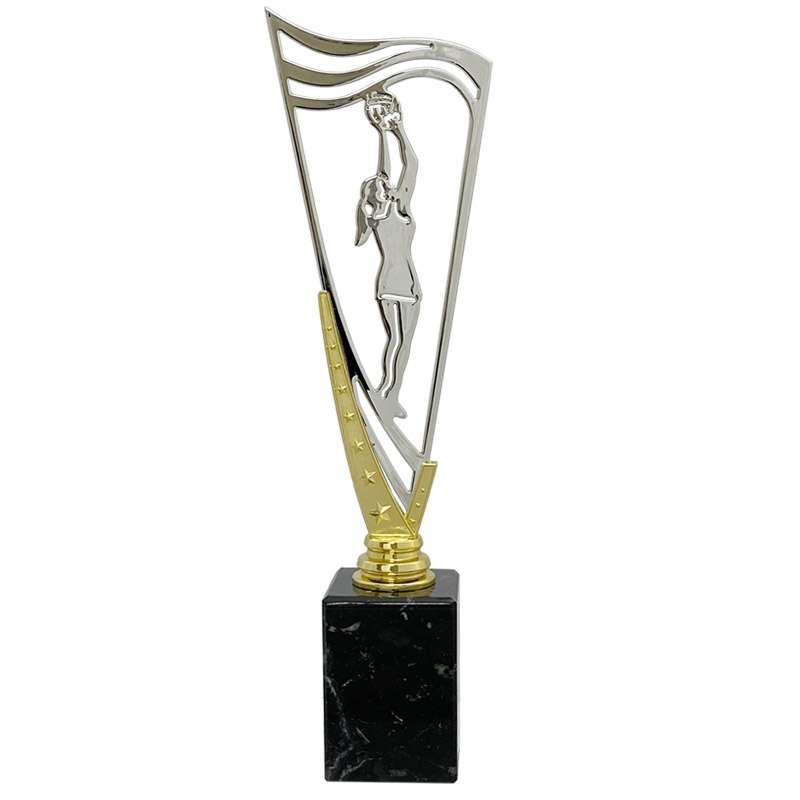 NETBALL – V STAR HOLDER – GOLD