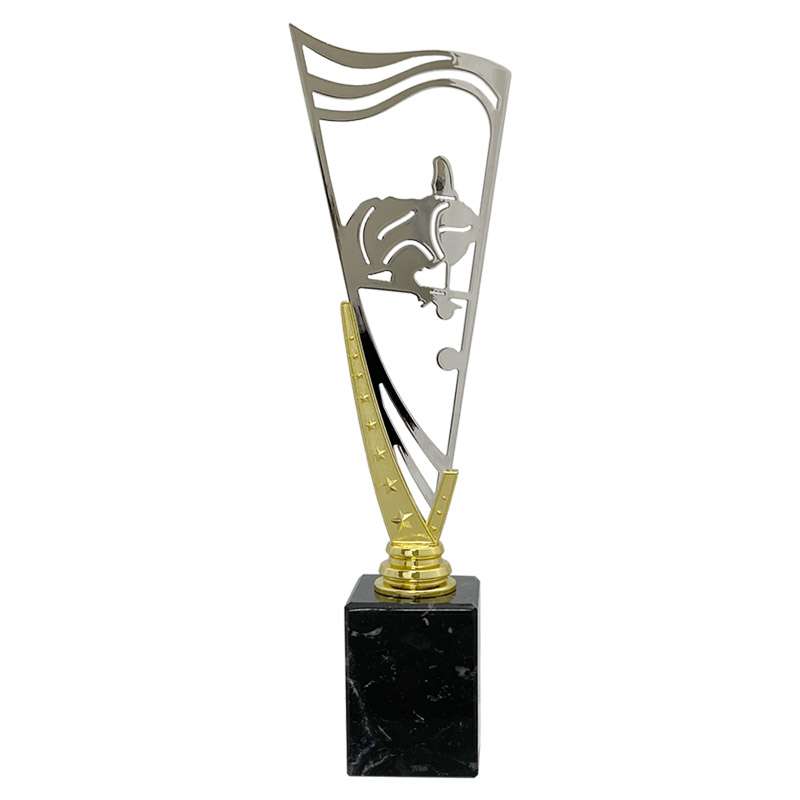 POOL – V STAR HOLDER – GOLD
