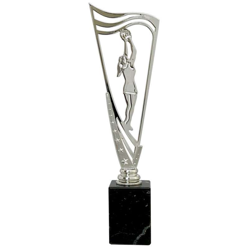 NETBALL – V STAR HOLDER – SILVER