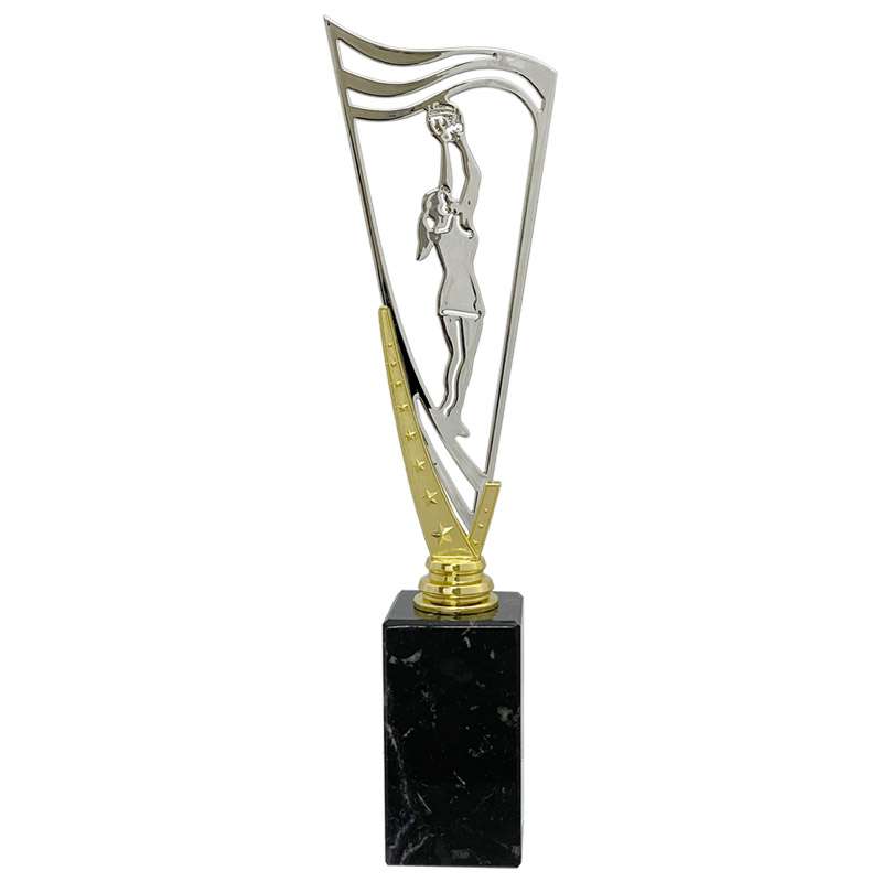 NETBALL – V STAR HOLDER – GOLD