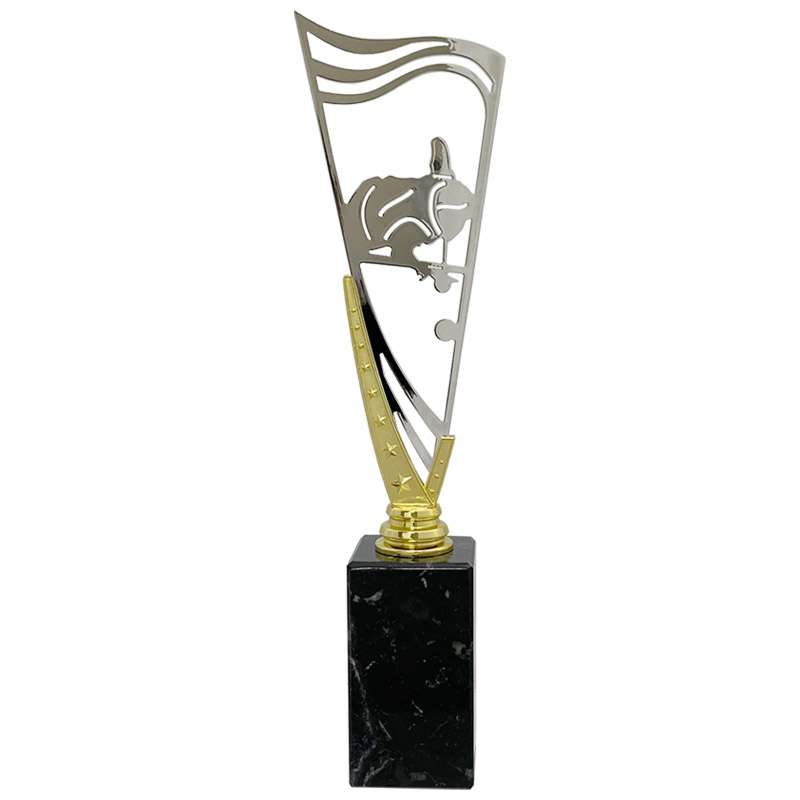 POOL – V STAR HOLDER – GOLD