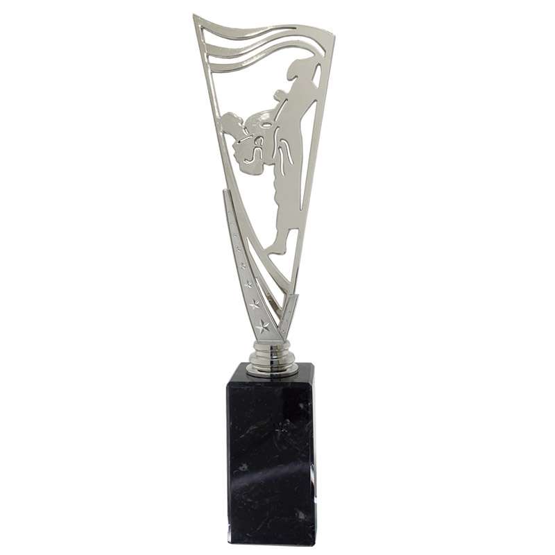 MARTIAL ARTS – V STAR HOLDER – GOLD