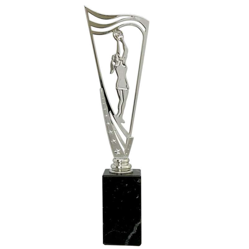 NETBALL – V STAR HOLDER – SILVER