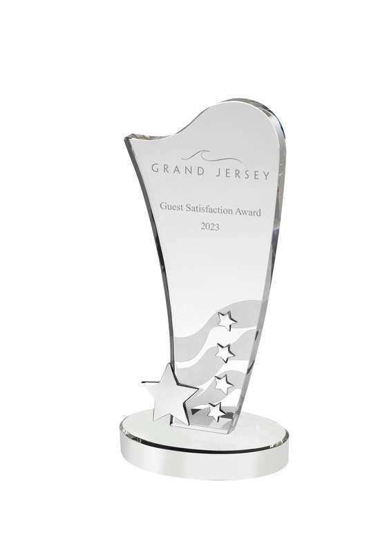 LG 10in Silver 5 Star Crystal Award – Silver/Clear