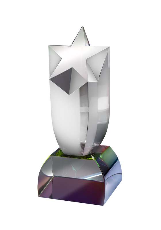 LG 9in Swatkins Optical Crystal Star Award – Clear