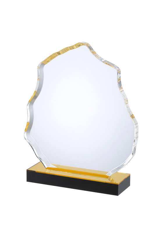 LG 8.75in Clear & Gold Acrylic Award – Clear/Blue