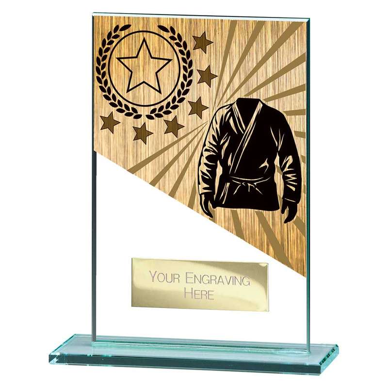 Mustang Martial Arts Jade Glass Award