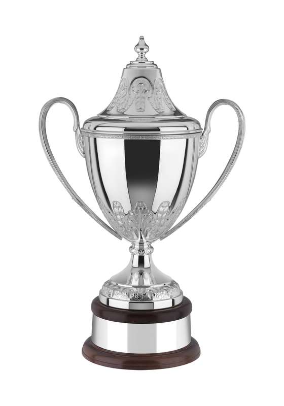 NH 20.5in Swatkins Ultimate Signature HC Award Complete – Silver