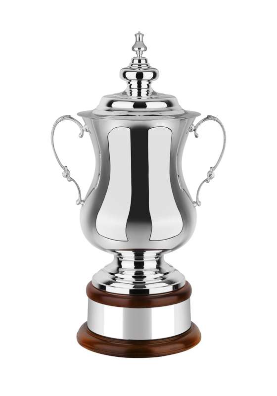 NH 19in Swatkins Ultimate Heroes Award Complete – Silver