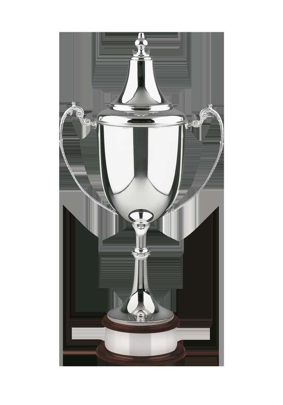 NH 15.5in Swatkins Ultimate Champions Award Complete – Silver