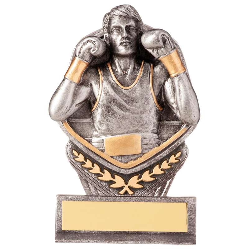 Falcon Boxing Award