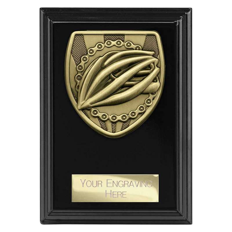 Cobra Plaque Cycling Award