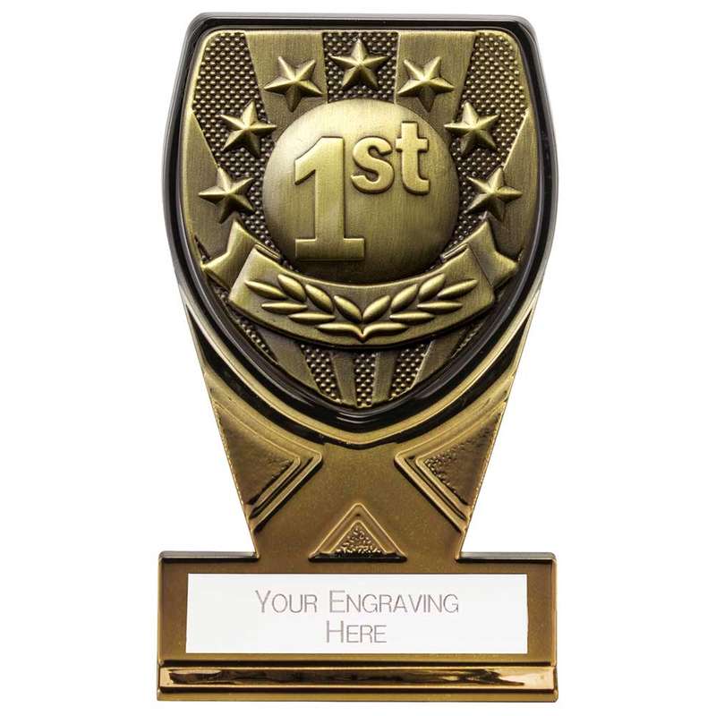Fusion Cobra 1st Place Award