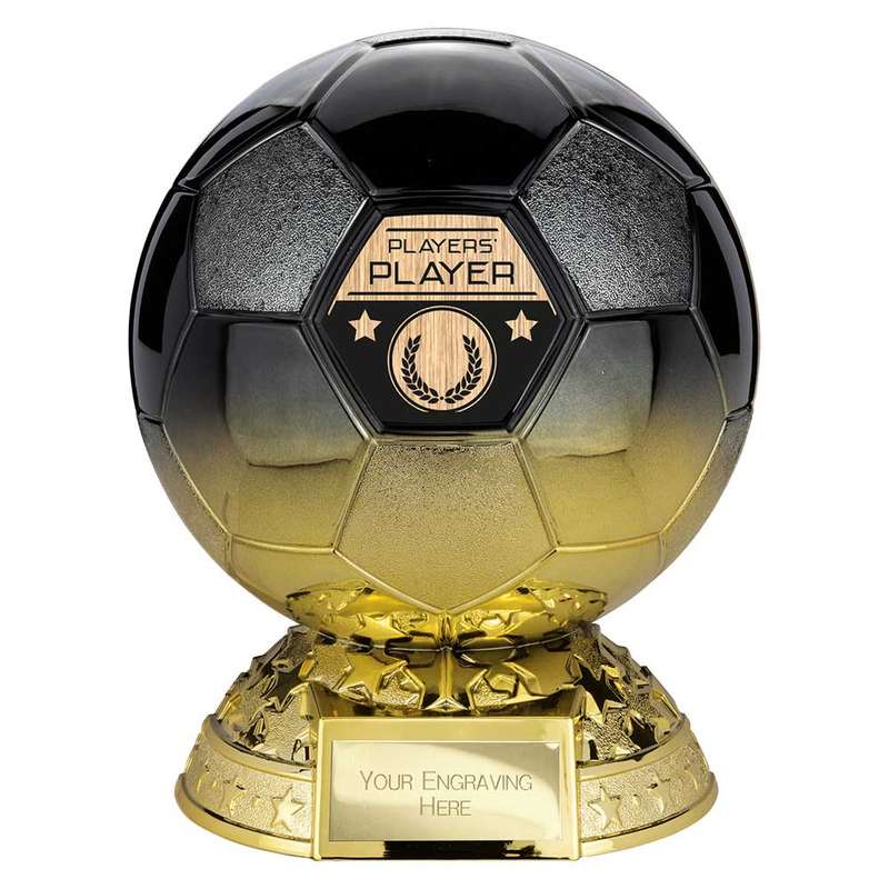 Elite Heavyweight Players Player Award