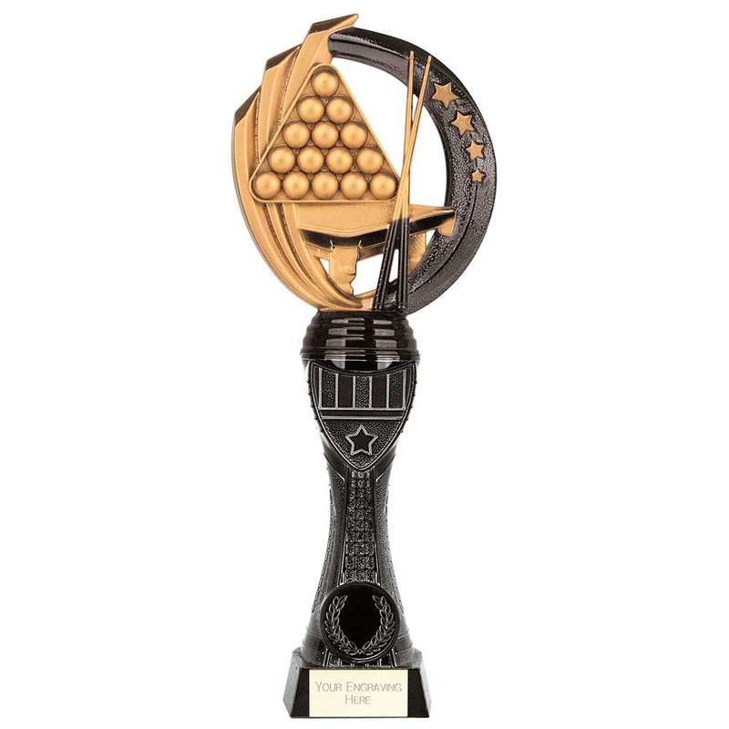 Renegade Heavyweight Snooker Award