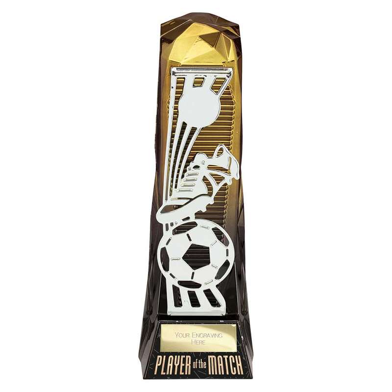Shard Football Player of the Match Award