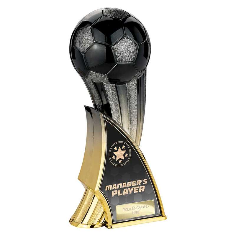 Firestorm Heavyweight Managers Player