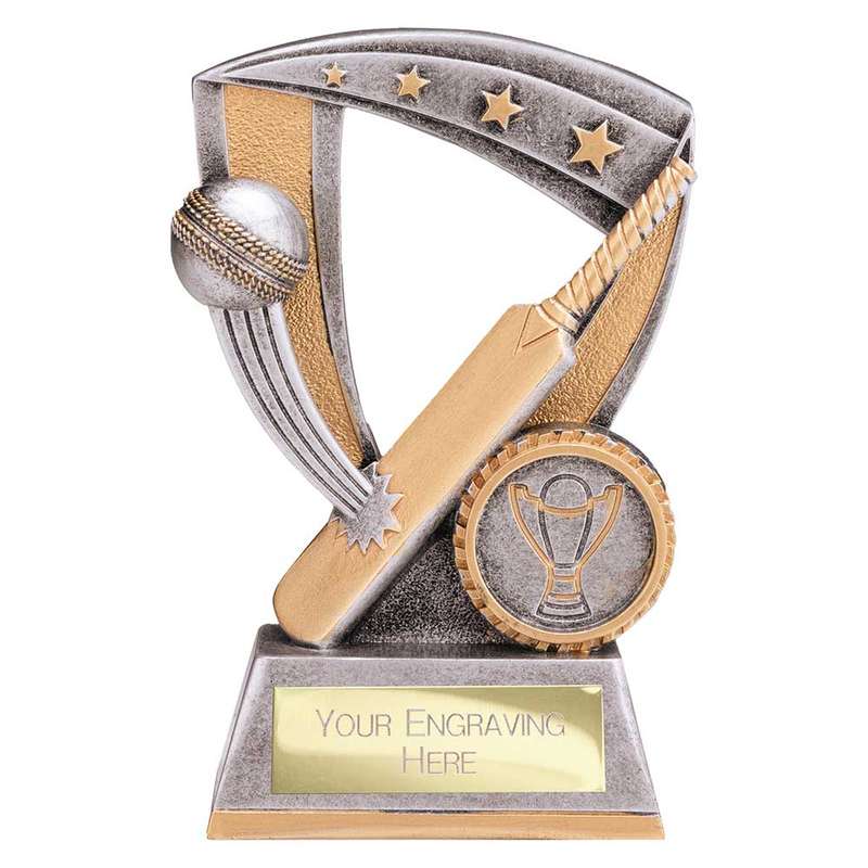 Optimum Cricket Resin Award