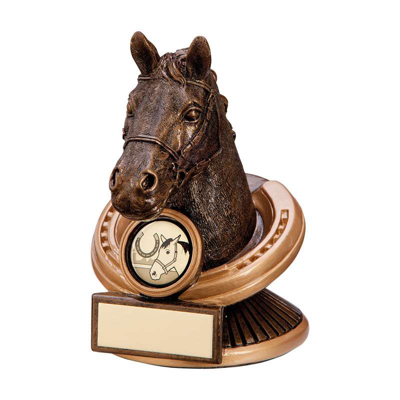 Endurance Equestrian Horse Head Award