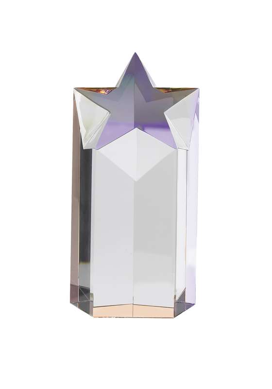 LG 7in Optical Crystal Rising Star Award – Clear