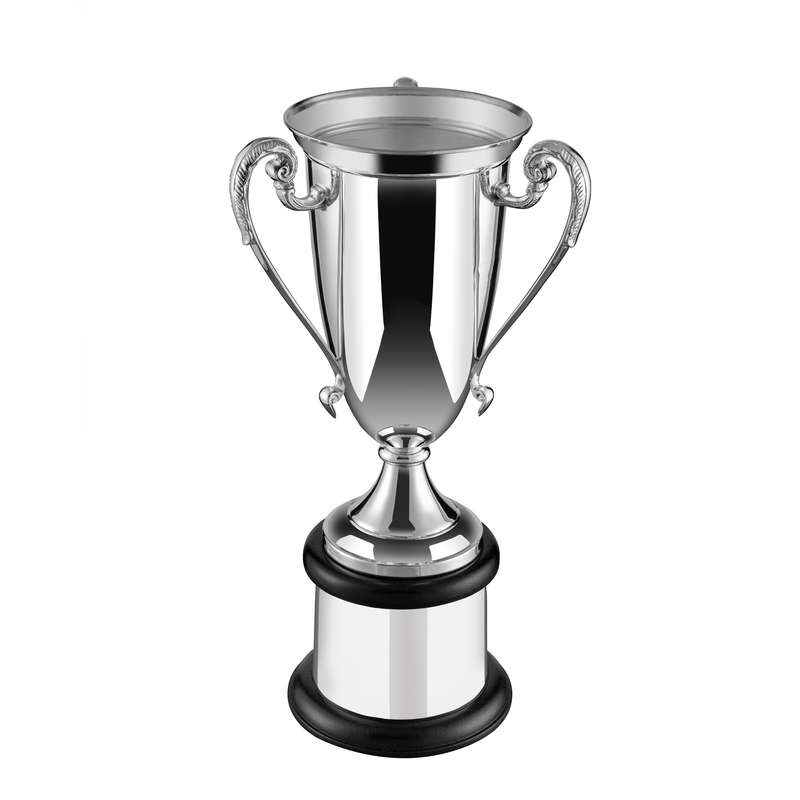 NH 17in Swatkins Vintage Cup Complete – Silver