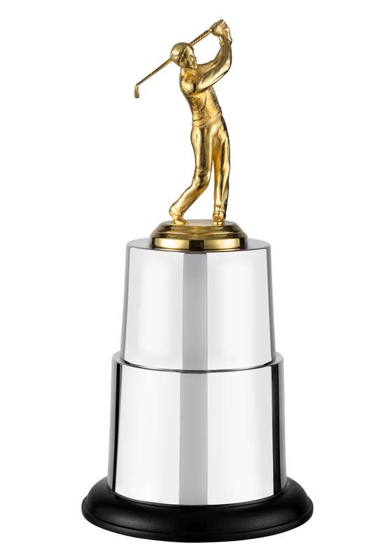 NH 13.75in Swatkins Winners Trophy Complete – Gold/Silver