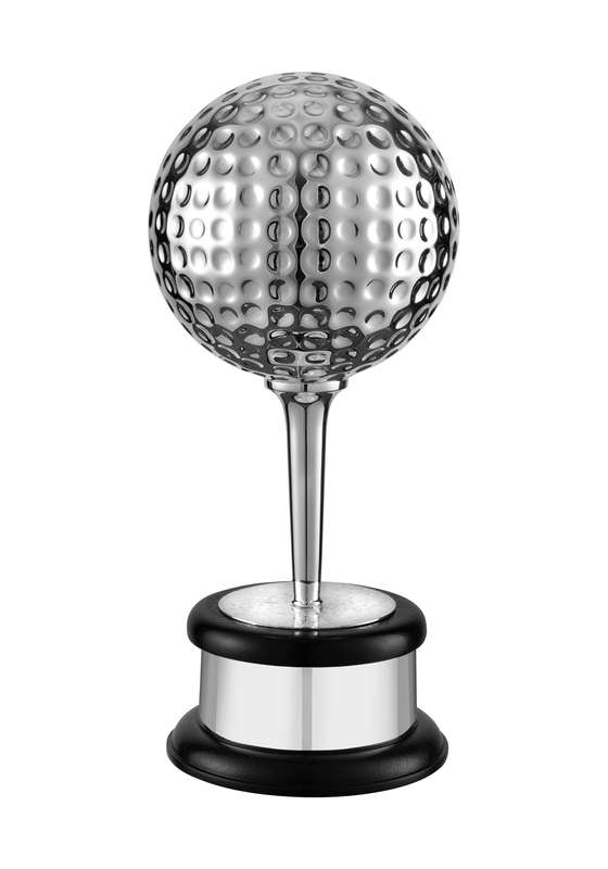 NH 15.5in Swatkins Match Play Trophy Complete – Silver