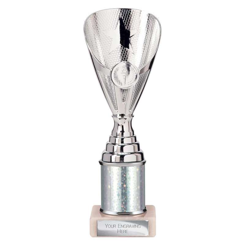 Rising Stars Plastic Trophy Silver