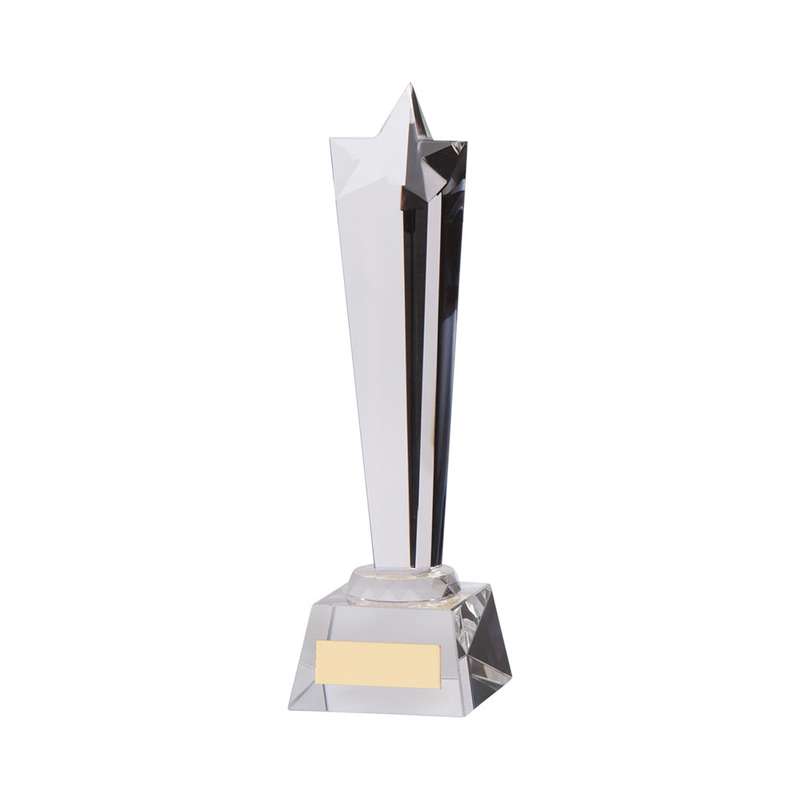 Seattle Star Crystal Award