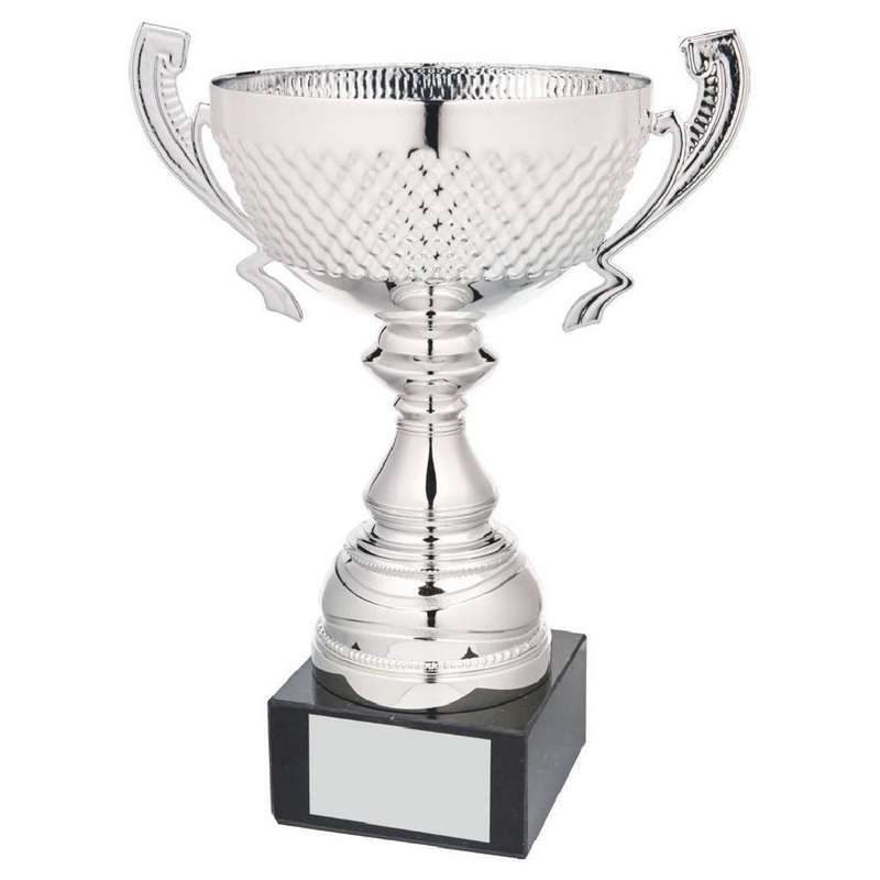 Silver Presentation Cup With Handles