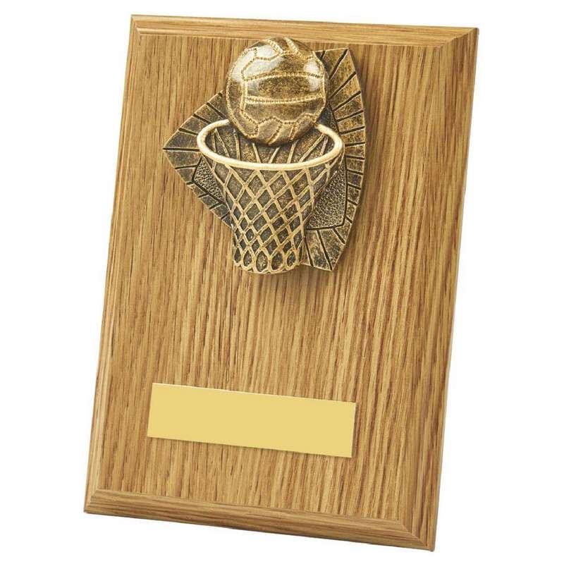 Wood Plaque with Resin Netball Trim