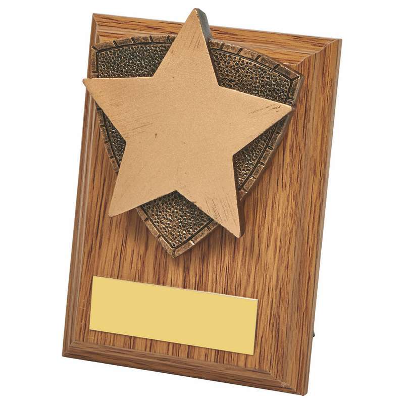 Wood Plaque with Resin Star Trim