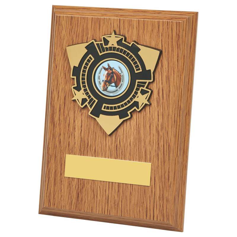 Light Oak Wood Plaque Award