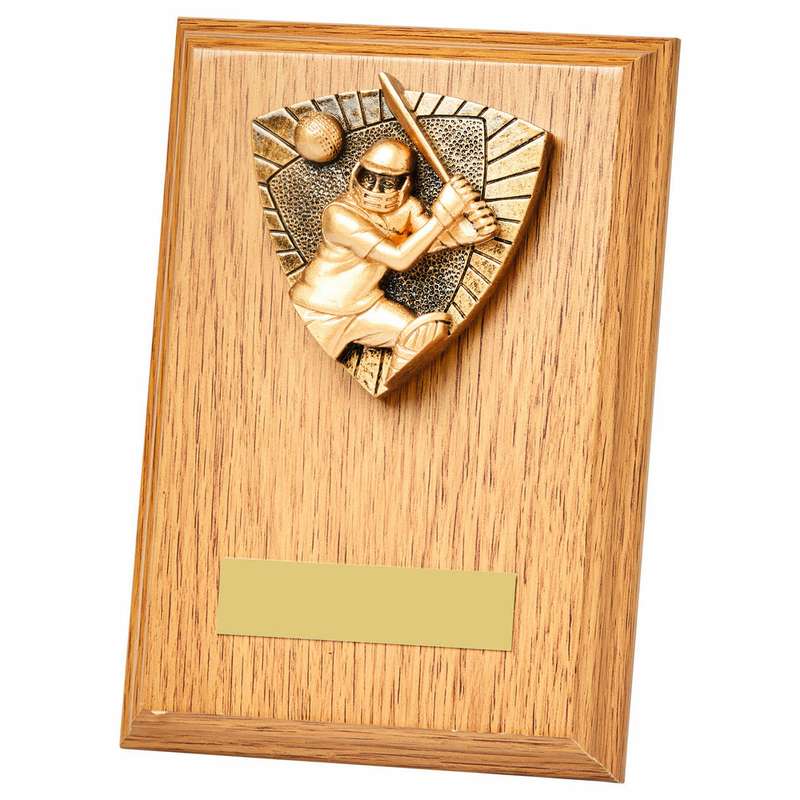 Cricket Batsman Wood Plaque