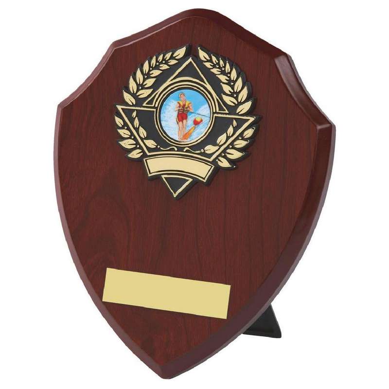 Traditional Shield Award