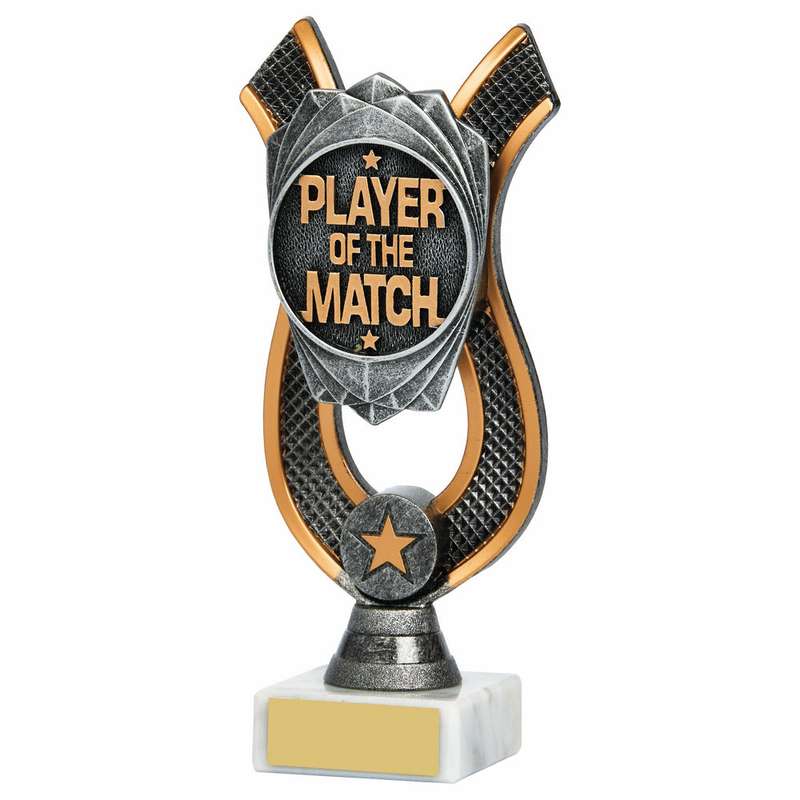 Player of the Match Award