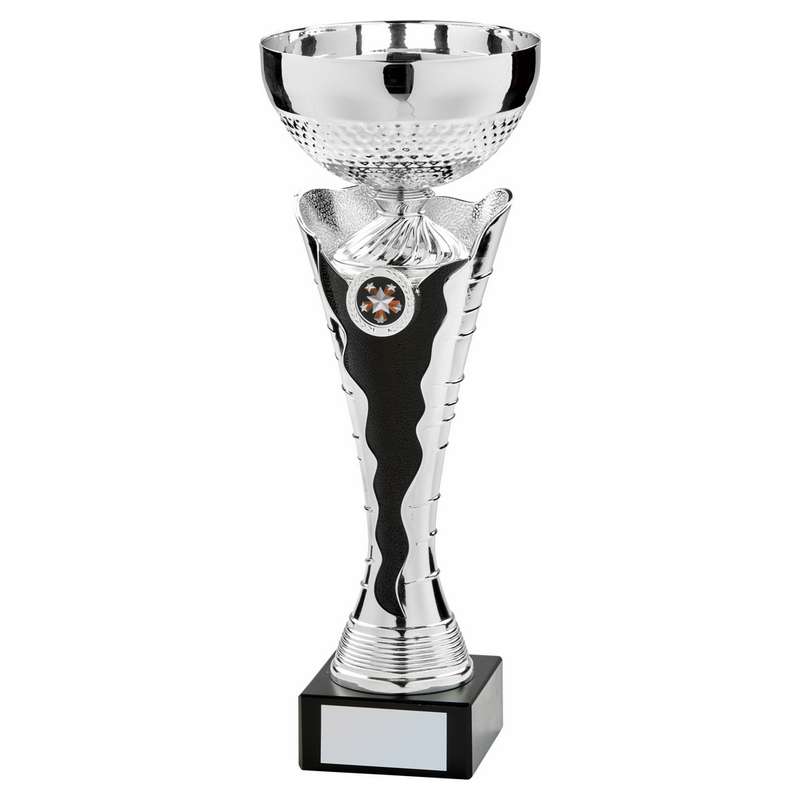 Silver Black Bowl Award