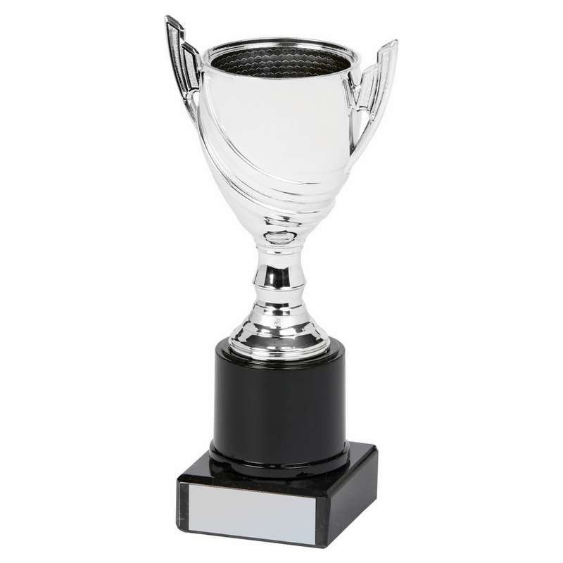 Silver Cup Award