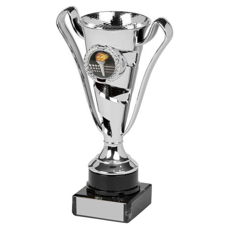 Silver Cup Award