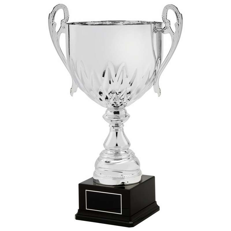 Silver Presentation Cup With Handles