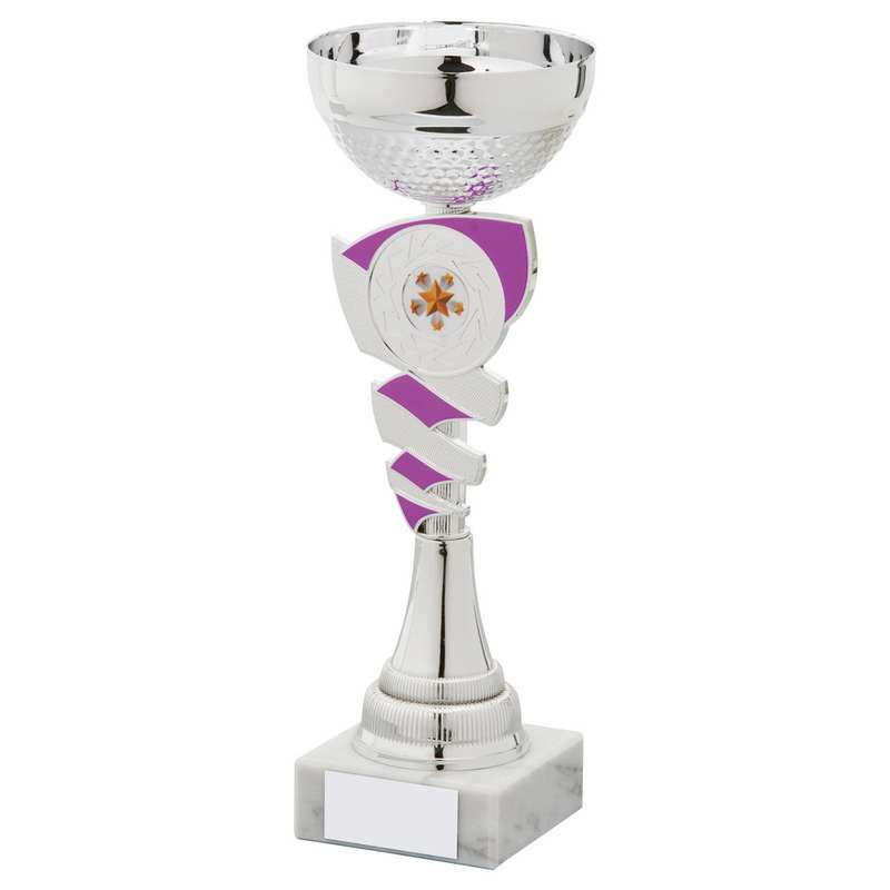 Silver and Purple Cup
